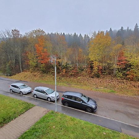 2 Rooms Apartment In Triberg Triberg im Schwarzwald Exteriör bild