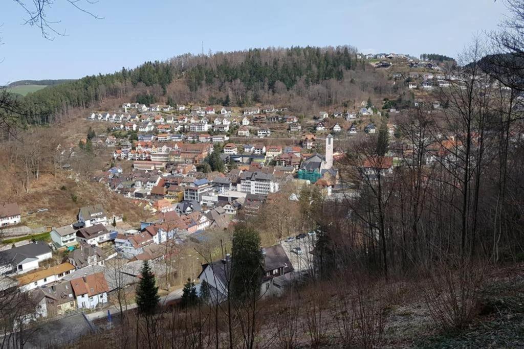 2 Rooms Apartment In Triberg Triberg im Schwarzwald Exteriör bild